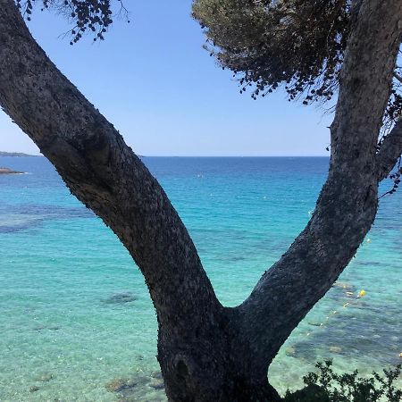 Les Baux 1 Daire Sanary-sur-Mer Dış mekan fotoğraf